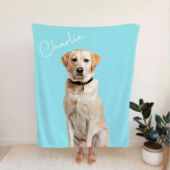 Alternative view of Dog Feeding Mats