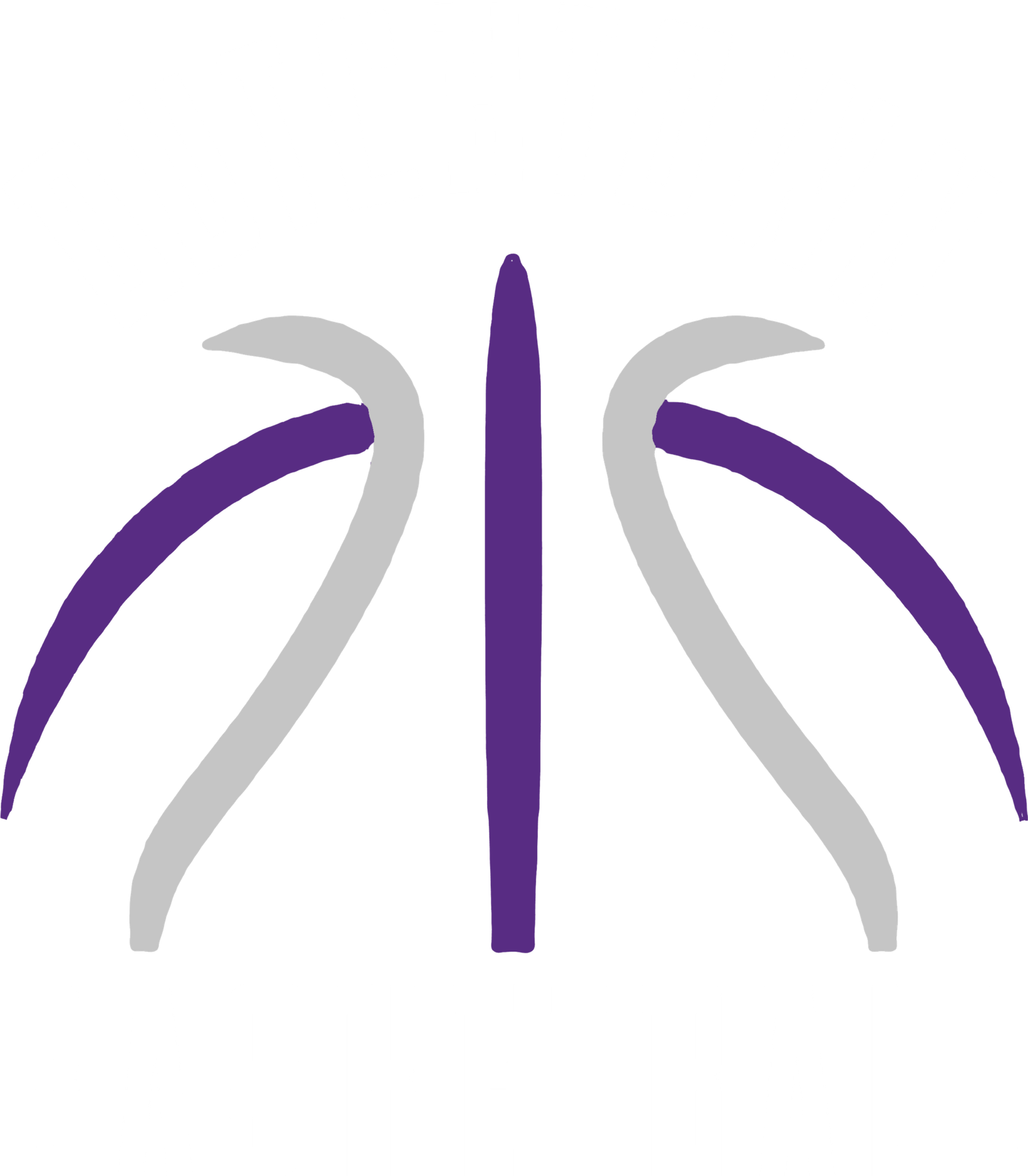 DT Basketball Designs. Dutchtown Curved Basketball White