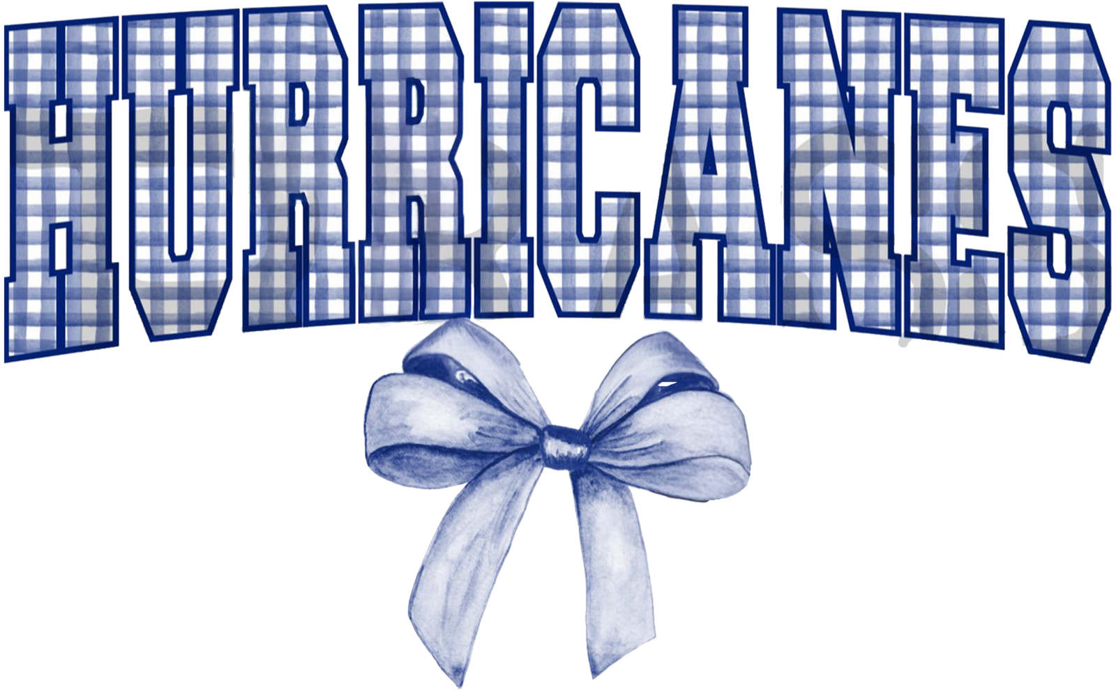 2025 Hurricanes Spirit Designs Hurricanes Gingham