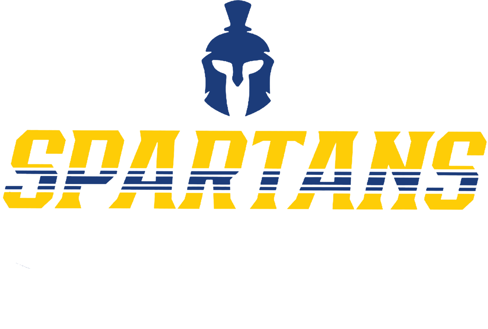 EA Football Designs Spartans Sliced Football With Helmet