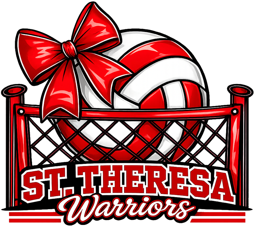 STA Volleyball With Net And Bow